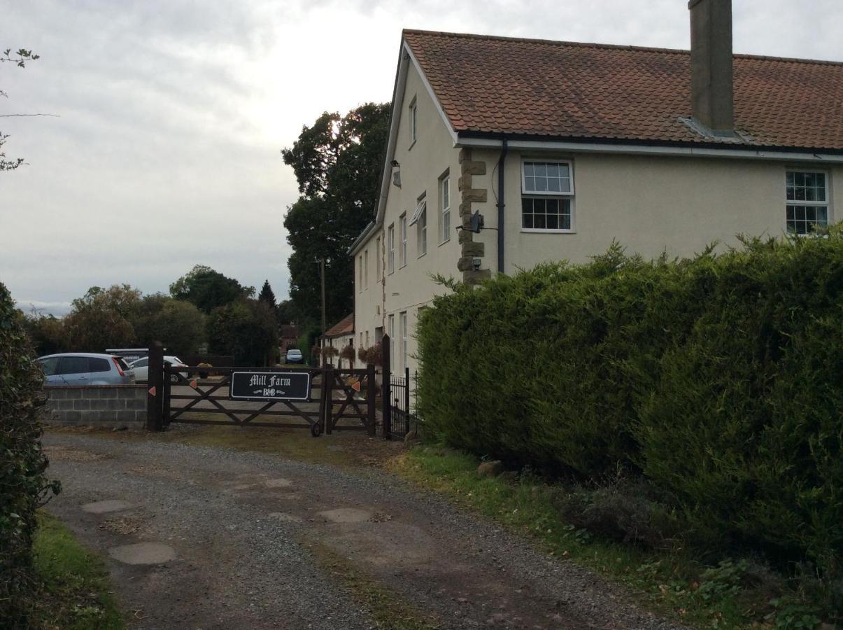 Mill Farm B&B 大艾顿 外观 照片